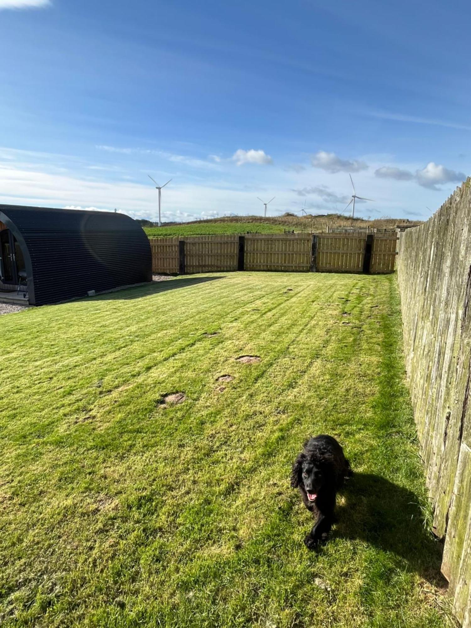 Middlemoor Farm Holidays Alnwick Exterior photo